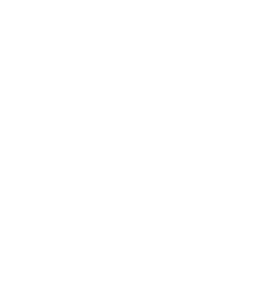 Flávio Muniz - especialista em seo - Link Building