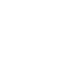 Flávio Muniz - especialista em seo - pesquisa palavra-chave