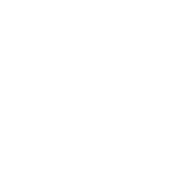 Flávio Muniz - especialista em seo - aumento de tráfego
