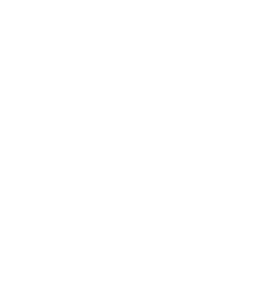 Flávio Muniz - especialista em seo - performance
