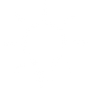 insights
